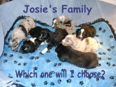 Josiefamily-sm.jpg (35954 bytes)