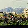 fujairah.gif (9133 bytes)