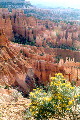 Bryce Canyon National Park