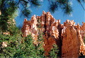 Bryce Canyon National Park