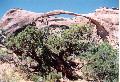 Landscape Arch in Arches National Park