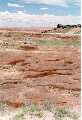 The Painted Desert