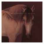 City Reading - Tre Storie Western