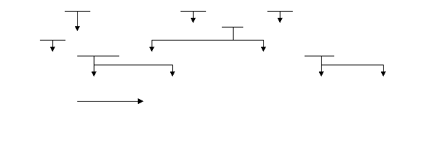 Naberrie Family Tree Outline