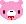 gloomy bear!!