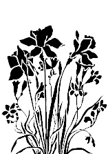flowers.jpg (17494 bytes)