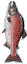 Click on the fish to swim to the top of the watershed