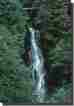 Picture of Waterfall