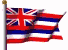 Picture of State Flag of Hawaii
