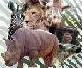 Picture of zoo animals