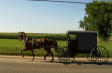 Picture of Amish Carriage