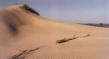 Picture of Dunes