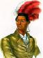 Iroquois Indian