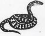Picture of Snake