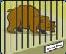 picture of animal in cage