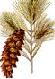 Picture of white pine cone and tassel