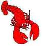 Picture of Lobster