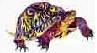 Picture of Painted Turtle