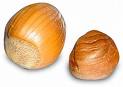 Picture of Hazelnut
