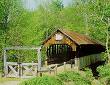 Picture of Bridge