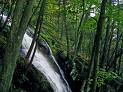 Picture of  Waterfall