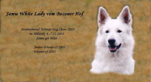 Unser finnischer Champion (WT 31.07.2002)