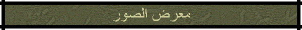معرض الصور