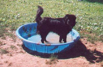 Weylin playing in his swimming pool