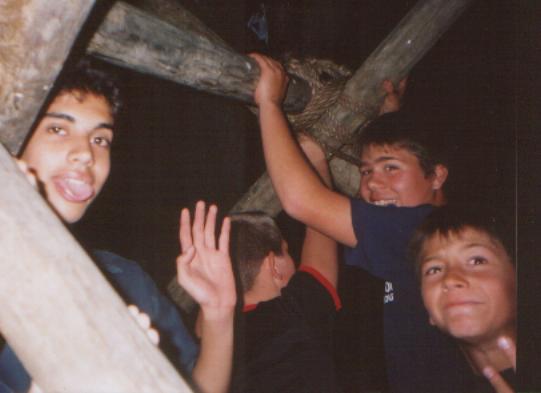 the kings perking up