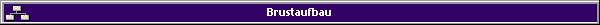 Brustaufbau