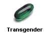 Transgender