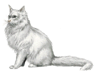 ang.gif (9691 bytes)