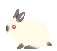 animbunn3.gif (4265 bytes)