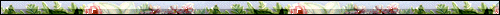 bar0612bo.gif (6198 bytes)