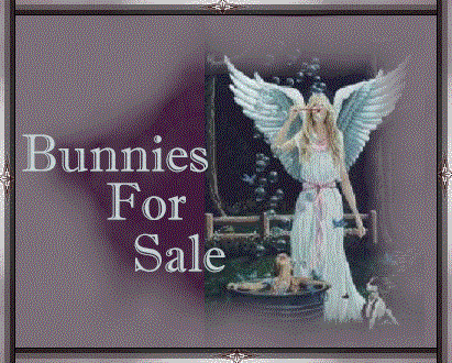 bunforsale.gif (57027 bytes)