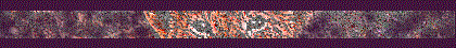 lionbar.gif (10986 bytes)