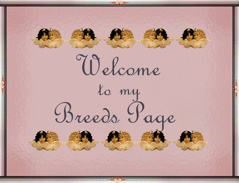 mybreedsign.gif (63470 bytes)