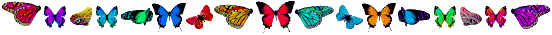 nbar16.gif (7361 bytes)