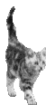 real.gif (14755 bytes)