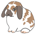 spottylop.gif (1894 bytes)