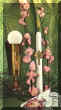 communion2.JPG (3372 octets)