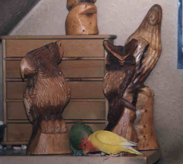 Caesar und Cleo2