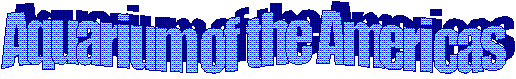 aquari2.gif (5771 bytes)