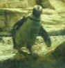 penguin.jpg (2098 bytes)