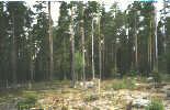 En plats r utsedd, 48 kB