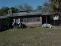 backview of wandering oaks