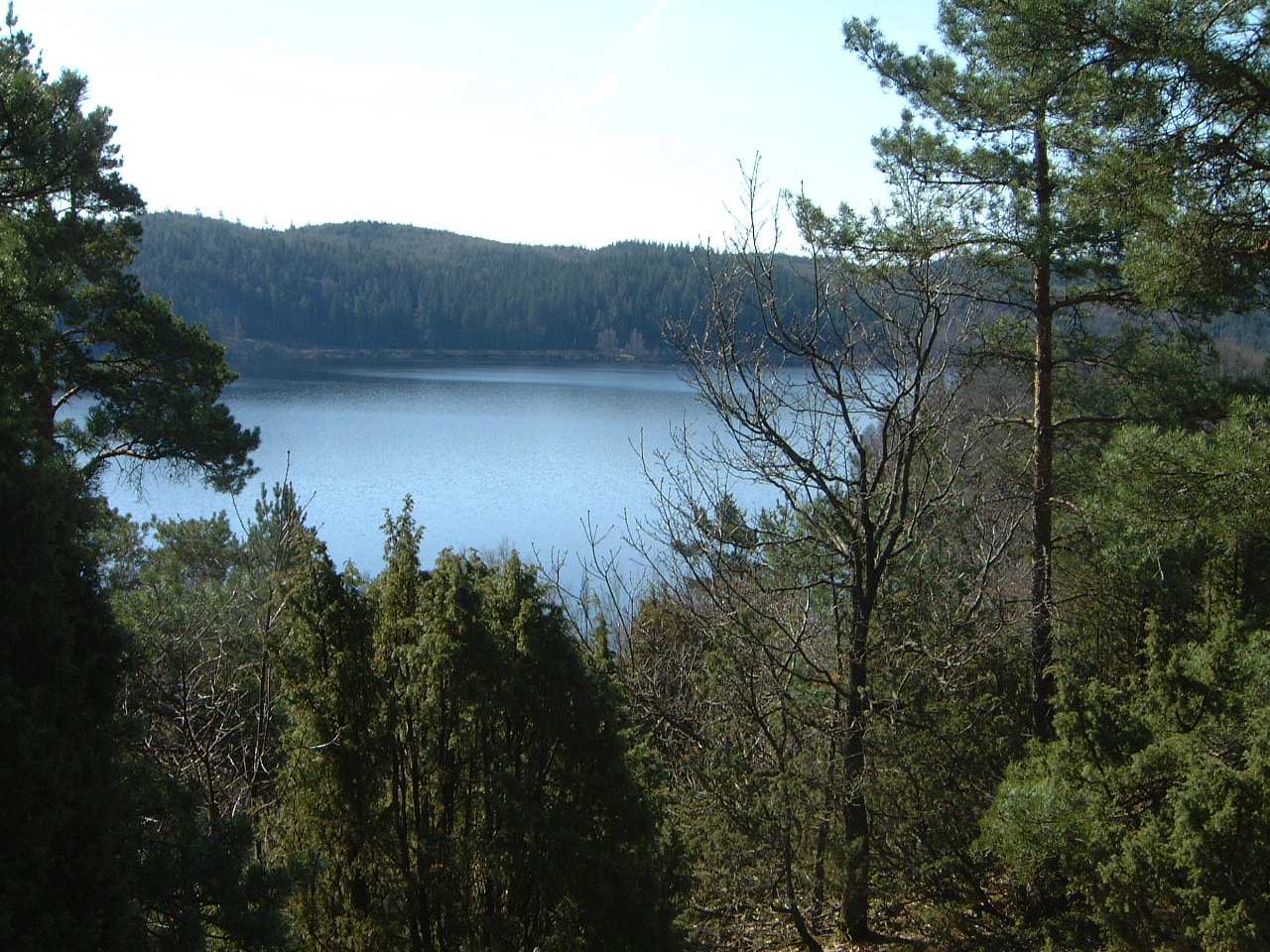 SjönGroen