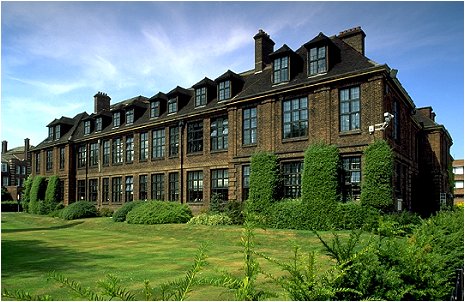 The University