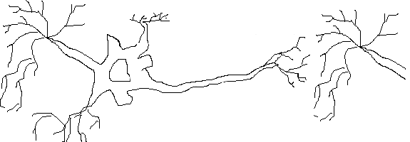Picture from libary.thinkquest.org