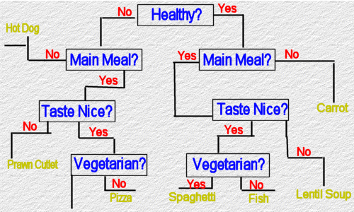 An example of a expert system